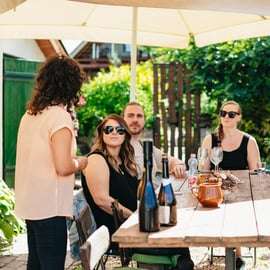De Budapeste: Prova de vinhos em Etyek com refeição de 3 pratos