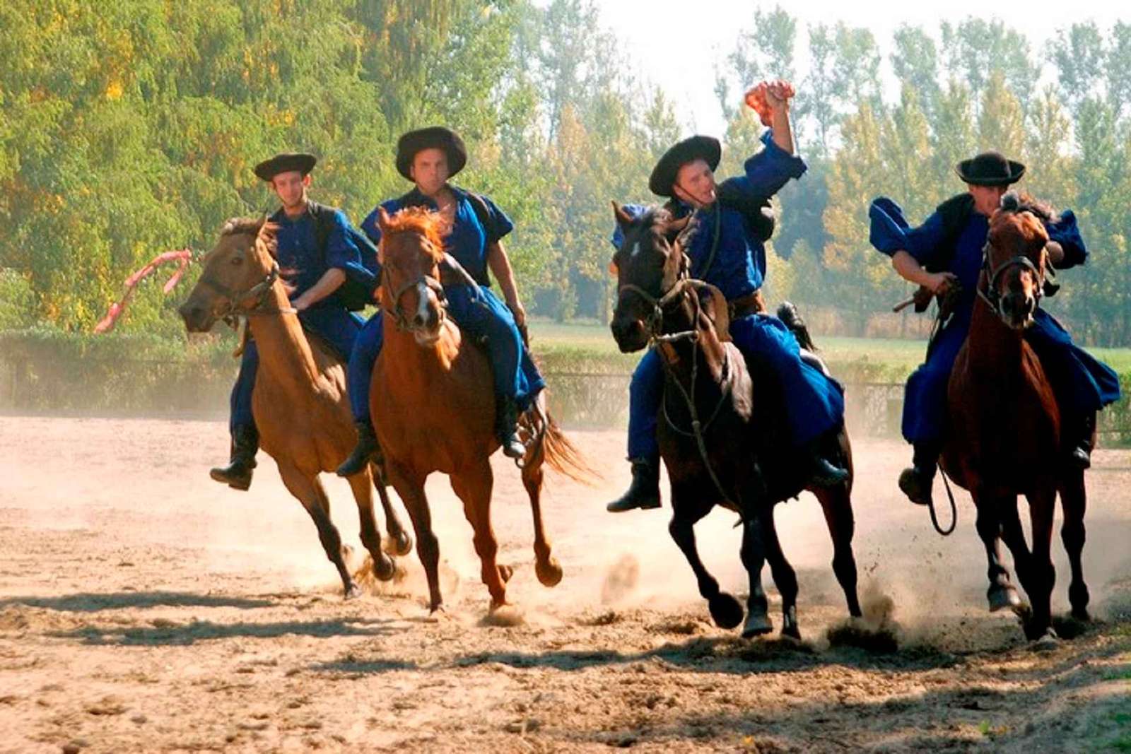 De Budapeste: Excursão de 1 dia a Puszta com almoço e espetáculo