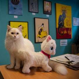 Budapeste: Ingresso para o Museu do Gato de Budapeste