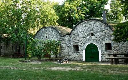 De Budpaest: Visita à aldeia vinícola de Páty com provas