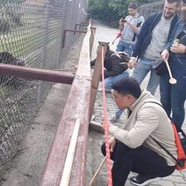 Budapeste: Transporte e visita guiada ao Santuário de Ursos e Lobos