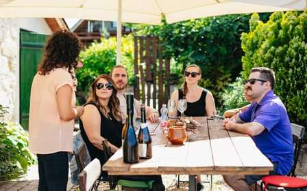 De Budapeste: Prova de vinhos em Etyek com refeição de 3 pratos