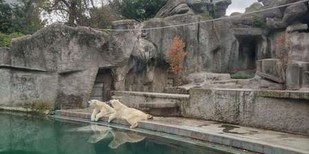 Zoológico de Budapeste