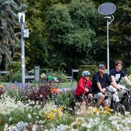Escolhe uma bicicleta e faz o teu próprio passeio em Budapeste-24 horas