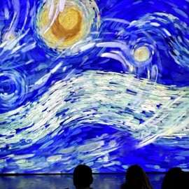 Budapeste: Ingresso para a Exposição Imersiva Van Gogh