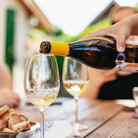 De Budapeste: Prova de vinhos em Etyek com refeição de 3 pratos