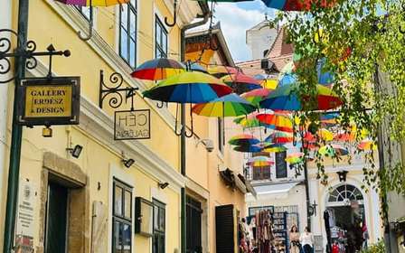 Cruzeiro de dia inteiro em Szentendre a partir de Budapeste