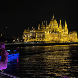 Budapeste: Cruzeiro turístico noturno no Danúbio
